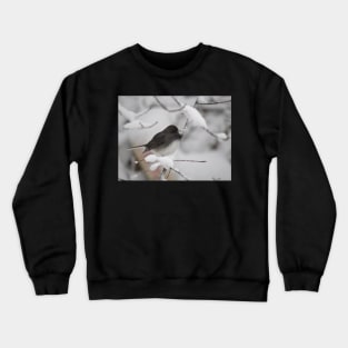 Dark eyed Junco Crewneck Sweatshirt